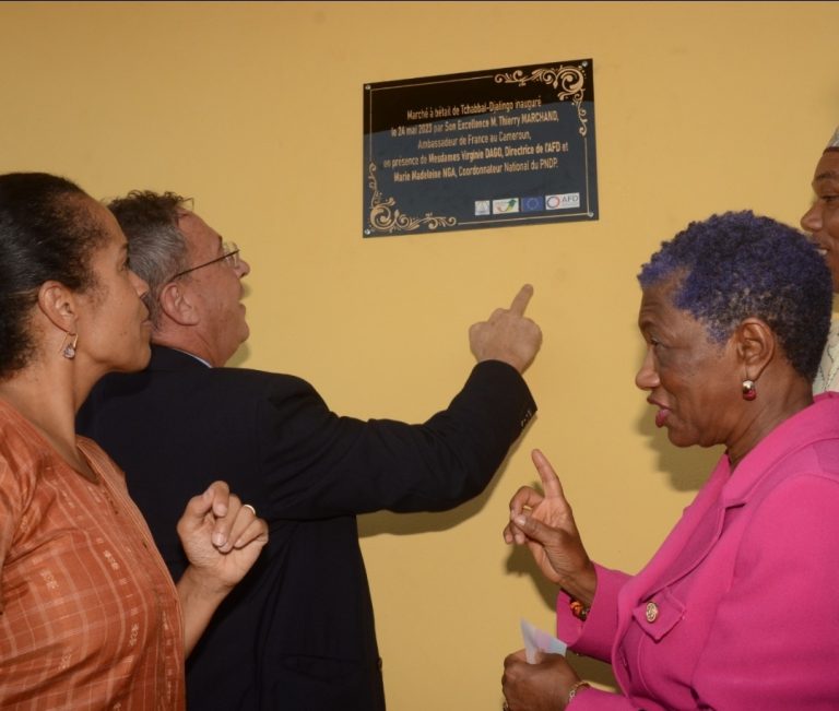 Screenshot_20230530_174630_WhatsApp