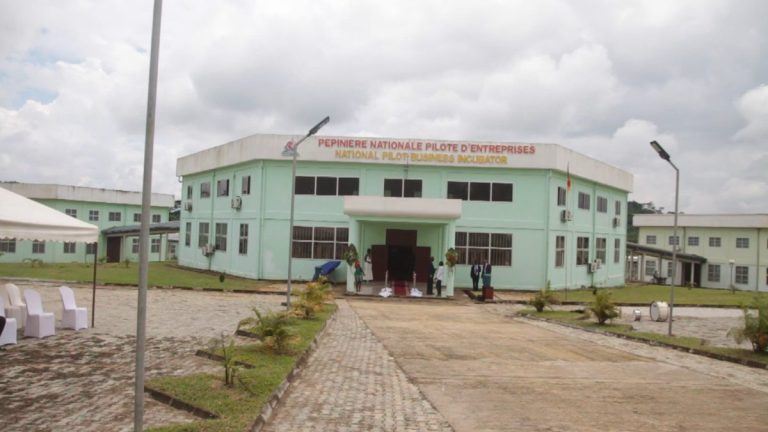 La pépinière nationale pilote d'entreprises