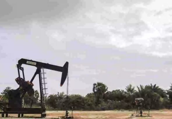 Screenshot_20260425_165250_Chrome